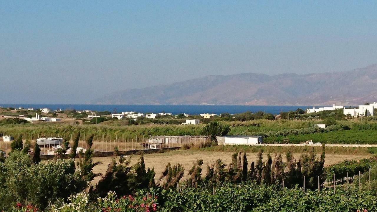 Villa Kampos Naousa-Marpisa Ambelas Exteriér fotografie