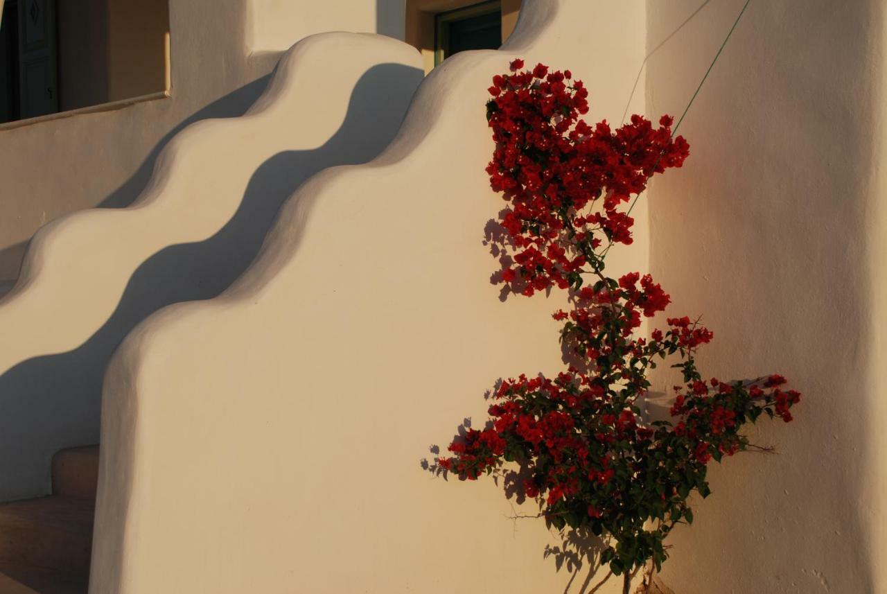 Villa Kampos Naousa-Marpisa Ambelas Exteriér fotografie
