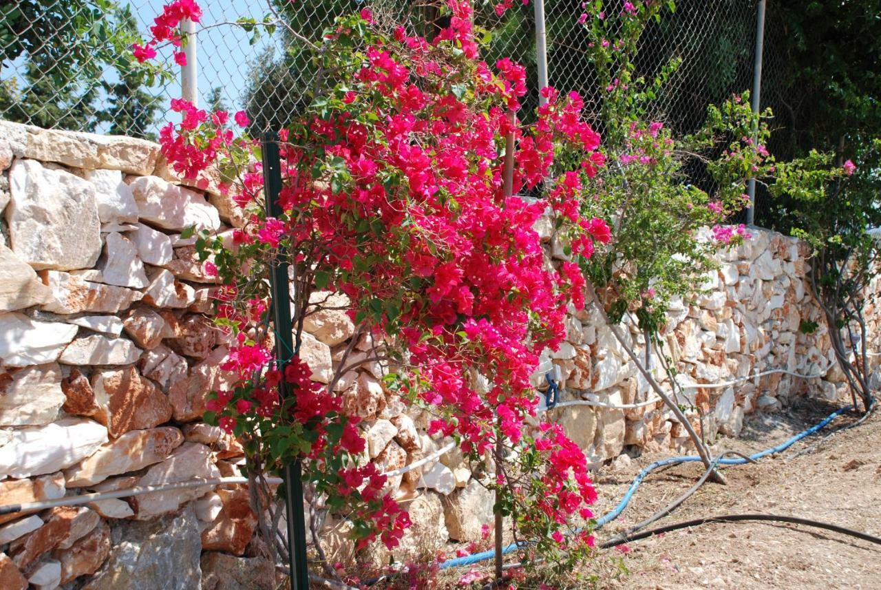 Villa Kampos Naousa-Marpisa Ambelas Exteriér fotografie