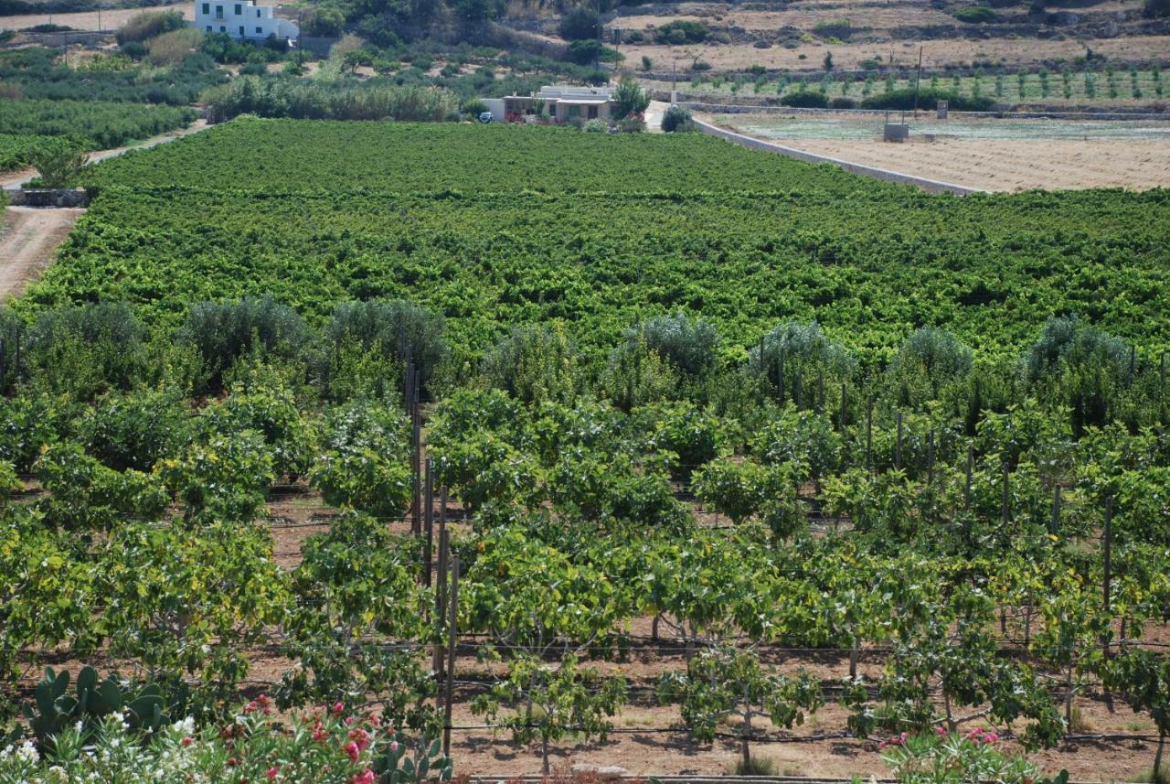 Villa Kampos Naousa-Marpisa Ambelas Exteriér fotografie